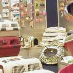 PET-SHOP-ΝΕΟ-ΗΡΑΚΛΕΙΟ-ΤΡΟΠΙΚΟΣ-PETSHOP-PETSITE-ΜΑΝΤΑΚΑ