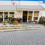 ΣΥΝΕΡΓΕΙΟ-ΚΑΘΑΡΙΣΜΟΥ-ΜΗΛΟΣ-ΤΟ-ΣΑΠΟΥΝΑΚΙ-ΜΑΪΔΗ